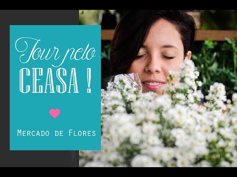 Tour pelo Ceasa - Flores pra decoração do seu casamento ♥