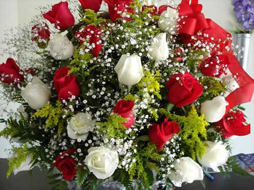 com plantas