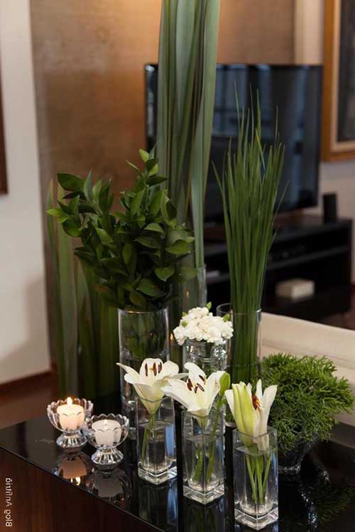 com plantas