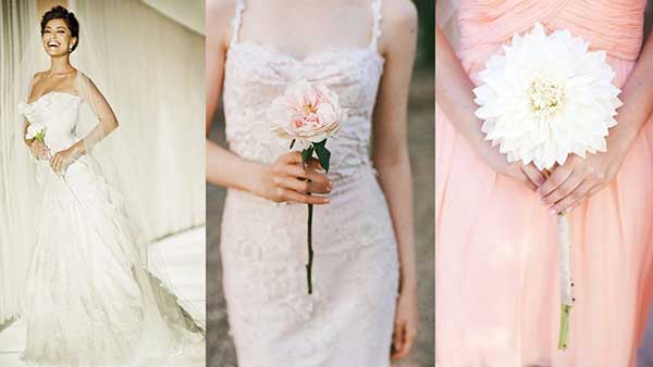 dicas de flores
