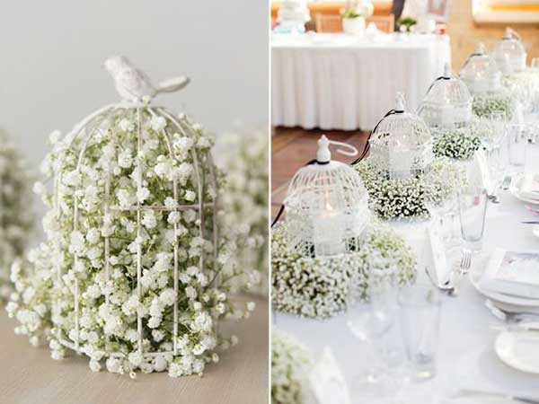 decoração com mosquitinhos