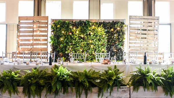 com plantas